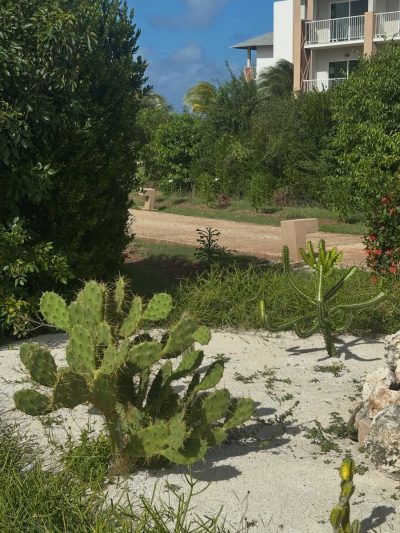 Playa Pilar, Cuba в апреле — фото погоды (2026-04-23)