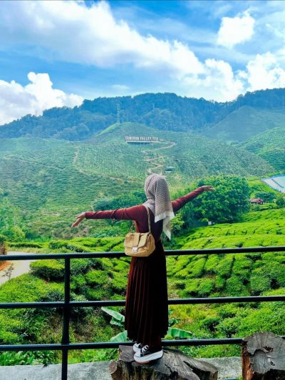 Bharat Tea Valley в июле — фото погоды (2025-07-19)