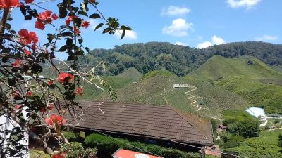 Bharat Tea Valley в июле — фото погоды (2025-07-28)