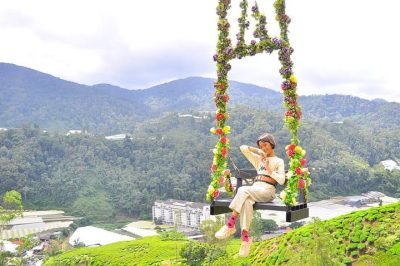 Bharat Tea Valley в июне — фото погоды (2026-06-21)