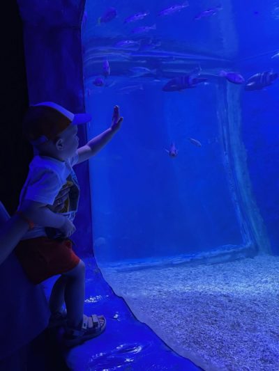Hurghada Grand Aquarium в мае — фото погоды (2026-05-22)