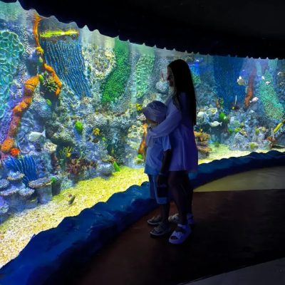 Hurghada Grand Aquarium в июле — фото погоды (2026-07-13)