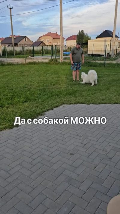 Сокольники в мае — фото погоды (2026-05-19)
