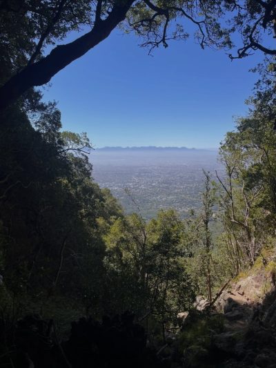 Skeleton Gorge / Table Mountain в марте — фото погоды (2026-03-14)