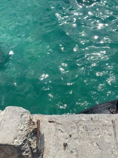 Bình Hưng Island в мае — фото погоды (2026-05-01)