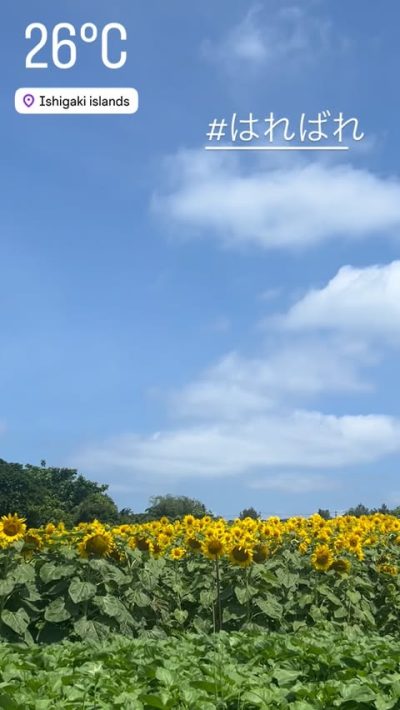 Ishigaki islands в мае — фото погоды (2026-05-14)