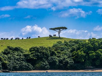 Ishigaki islands в мае — фото погоды (2026-05-16)