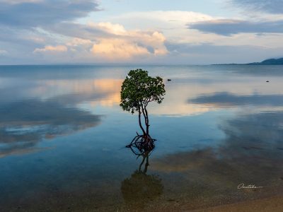 Ishigaki islands в мае — фото погоды (2026-05-16)