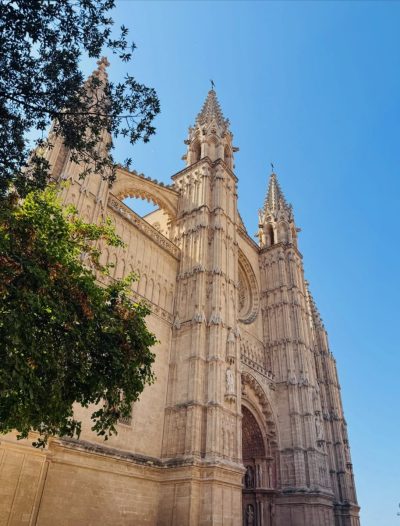 La Seu Cathedral Palma De Mallorca Spain — фото погоды в июле (2026-07-08)