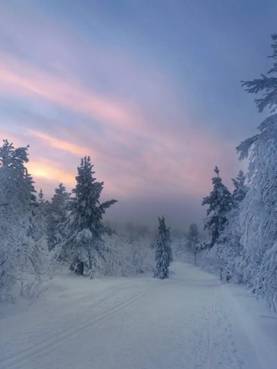 Долина Уюта в ноябре — фото погоды (2025-11-24)
