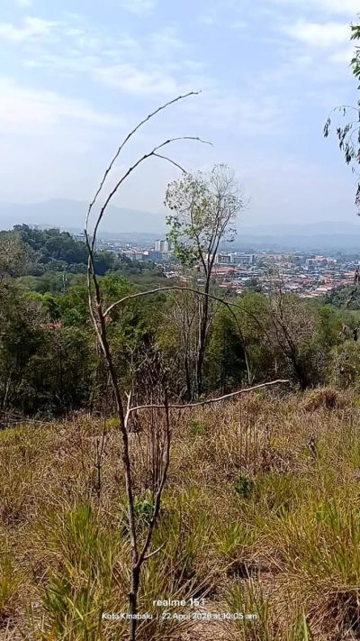Kopungit Hill в апреле — фото погоды (2026-04-22)