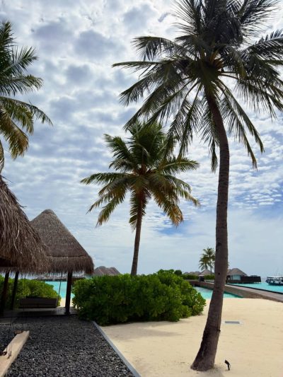 W Hotel Maldives — фото погоды в июне (2026-06-04)