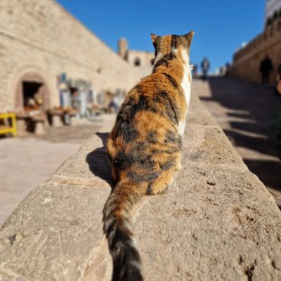 Essaouira, Marocco в октябре — фото погоды (2025-10-24)