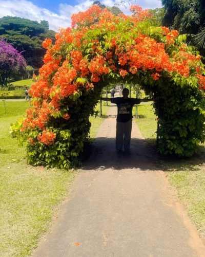 Kandy Peradeniya Royal Botanical Garden в июле — фото погоды (2026-07-12)