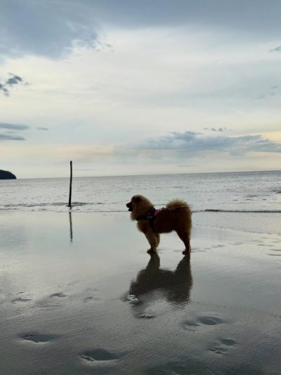 Playa Cabuyal , Golfo De Papagayo в мае — фото погоды (2026-05-04)