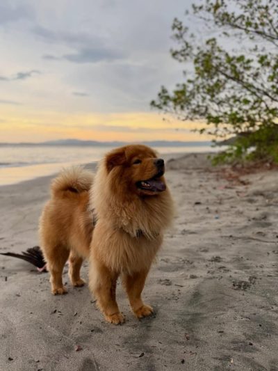 Playa Cabuyal , Golfo De Papagayo в мае — фото погоды (2026-05-04)