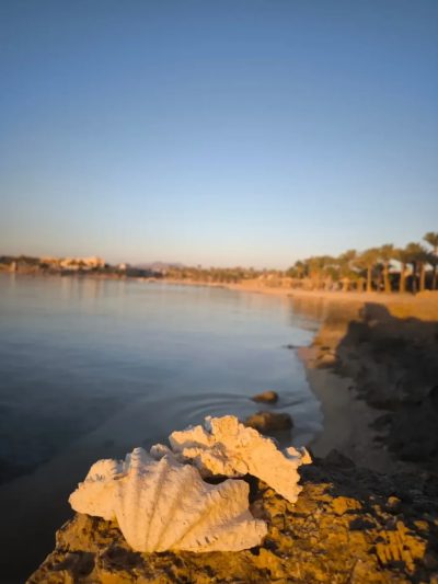 Brayka Bay Reef Resort — фото погоды в июле (2026-07-08)