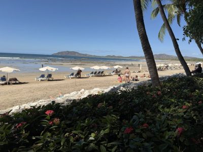 Tamarindo DIRIA в январе — фото погоды (2026-01-25)