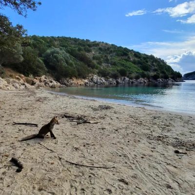 Cala Moresca в ноябре — фото погоды (2025-11-09)
