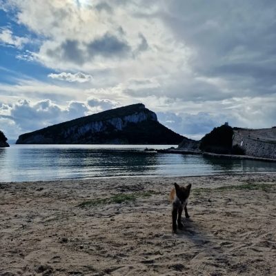 Cala Moresca в ноябре — фото погоды (2025-11-09)