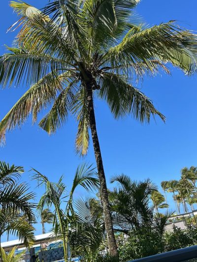 Hotel Riu Palace Mauritius — фото погоды в октябре (2025-10-28)