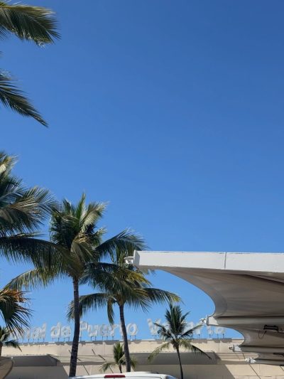 Pto Vallarta, Jalisco в марте — фото погоды (2026-03-31)