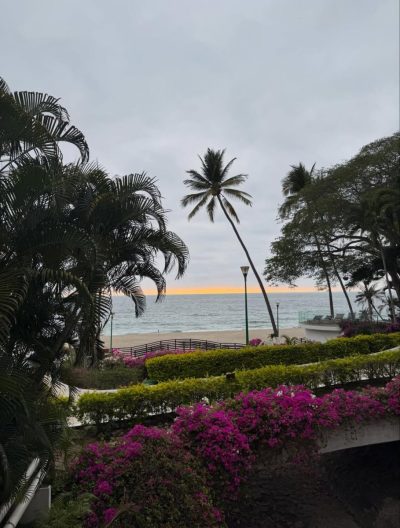 Pto Vallarta, Jalisco в июне — фото погоды (2026-06-30)