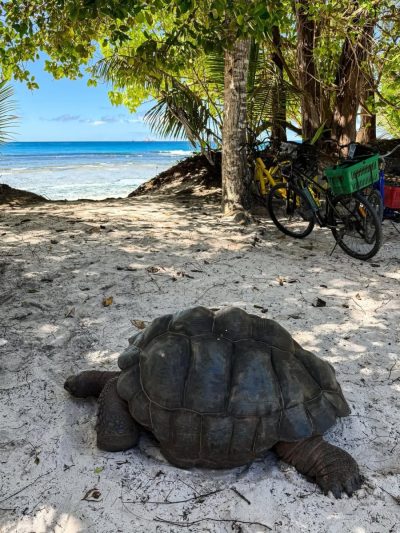 La Digue Island, Seychelles в феврале — фото погоды (2026-02-21)