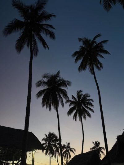 Stone Town, Zanzibar в июне — фото погоды (2026-06-03)