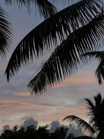 Belle Mare Beach Mauritius в марте — фото погоды (2026-03-19)