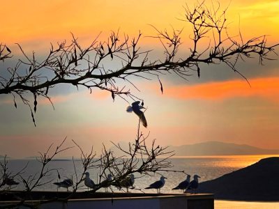 Bodrum, Aegean Coast, Turkey в апреле — фото погоды (2026-04-27)