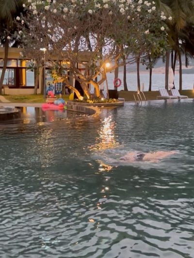 MerPerle Hon Tam Resort — фото погоды в январе (2026-01-28)