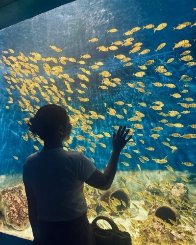 Impressions Museum in Nha Trang, Vietnam в феврале — фото погоды (2026-02-19)