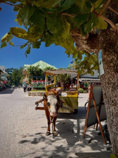 Anse Severe, La digue, Seychelles в декабре — фото погоды (2025-12-04)