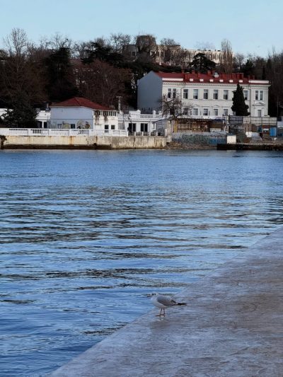 Севастополь, Бухта Артиллерийская в феврале — фото погоды (2026-02-05)