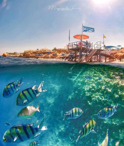 Club Reef Resort — фото погоды в январе (2026-01-28)