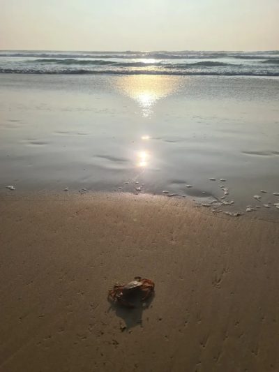 Bentota, Indian Ocean в декабре — фото погоды (2025-12-13)