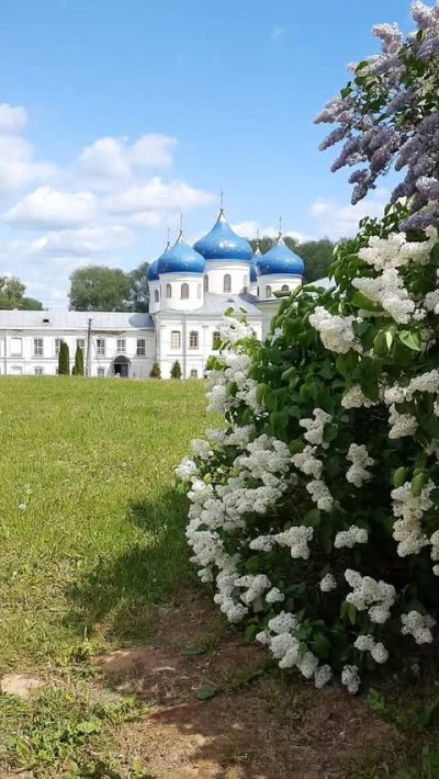Юрьев Монастырь Великий Новгород в июне — фото погоды (2026-06-01)