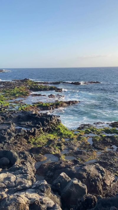 Palm mar Tenerife в марте — фото погоды (2026-03-30)