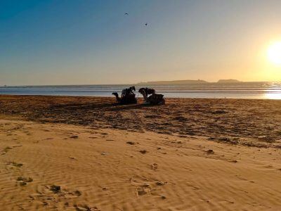Océan Vagabond Essaouira Beach Restaurant в июле — фото погоды (2025-07-04)