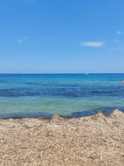 Corsica Island France в июле — фото погоды (2026-07-08)