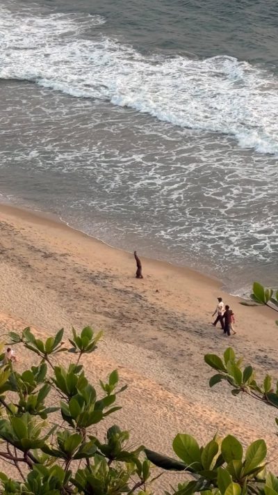 Varkala South Cliff в марте — фото погоды (2026-03-29)