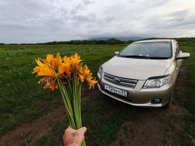 Курильск, остров Итуруп в июле — фото погоды (2026-07-06)