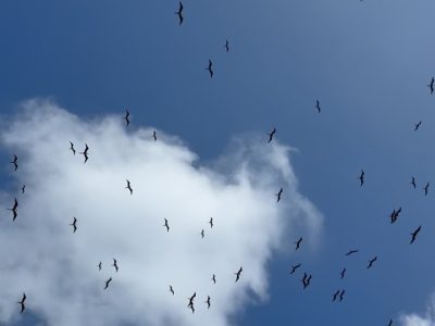 Isla De Mujeres, Mexico в марте — фото погоды (2026-03-31)