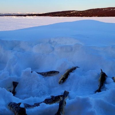 Мыс Великан в январе — фото погоды (2024-01-21)