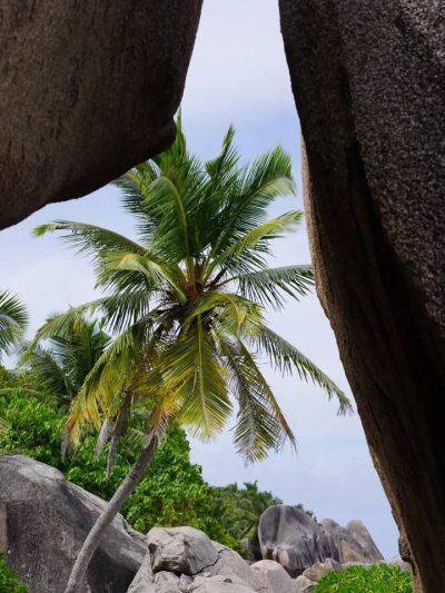 Pralin, Seychelles в феврале — фото погоды (2026-02-23)