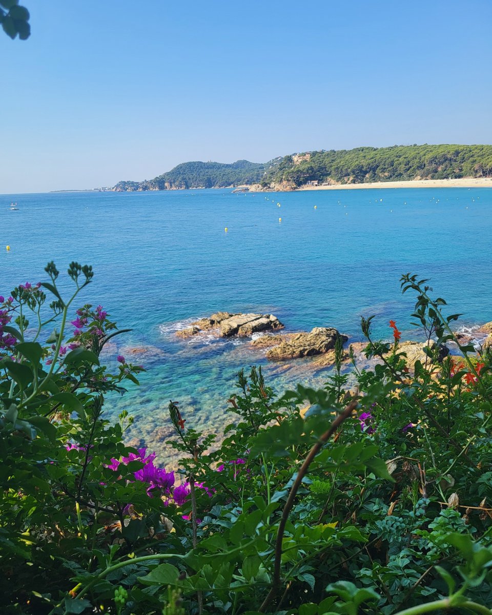 Погода в Cala Sant Francesc, Blanes