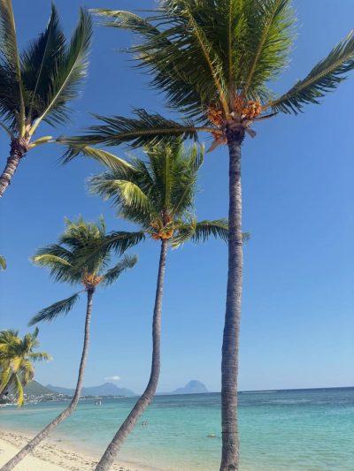Mauritius, South Africa в апреле — фото погоды (2026-04-19)