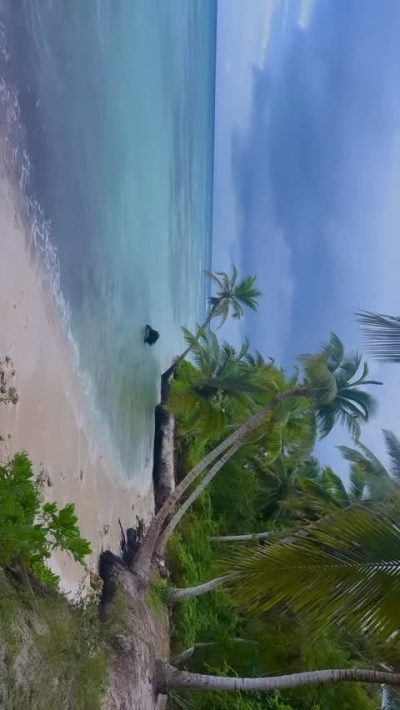 Saona Island , Dominican Republic в апреле — фото погоды (2026-04-15)