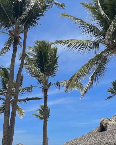 Saona Island , Dominican Republic в июне — фото погоды (2026-06-01)